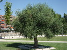 Picture 110