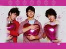 jonas brothers2