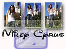 17649809_AOPDCKSDO