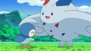 13544103_KWNVWBVTD