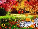 Photoshop_Tiger_in_colors_015319_[1]