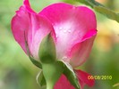 100_8470