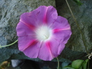 DSC08510