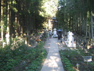 Pelerinaj  2010 047