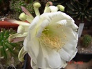 DSC08708