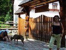 Cuibul Dorului 056
