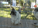 DSCN1527