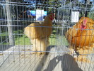 DSCN1538