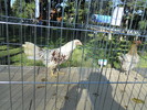 DSCN1546