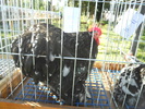 DSCN1551