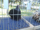 DSCN1556
