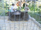 DSCN1575