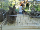 DSCN1576