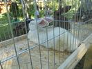 DSCN1579