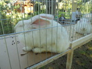 DSCN1583