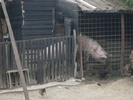S6304024