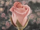 sleeping_bebe-800x600
