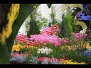 gradina_de_flori-800x600