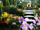 paradisul_florilor-800x600
