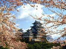 himeji_castel_japonia-800x600