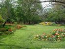 garden008