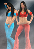 brie-and-nikkie-bella-smackdown-vs-raw-2010-character