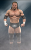 triple-h-smackdown-vs-raw-2010-character