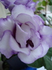 DSC01211