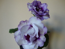 DSC01220
