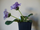 DSC01221