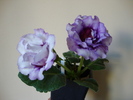 DSC01222