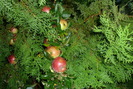 P1070198