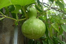 P1070226