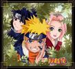 Team 7