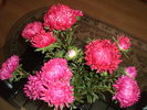 FLORI DE TOAMNA