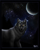 Night_Wolf_by_Myenia
