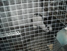 DSCN0940