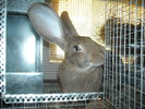 DSCN0942