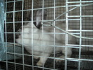 DSCN0944