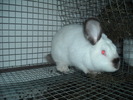 DSCN0950