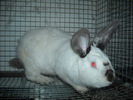 DSCN0952