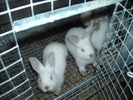 DSCN0957