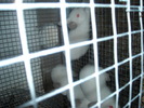 DSCN0958