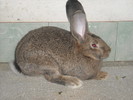 DSCN0965