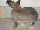 DSCN0966