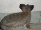 DSCN0967