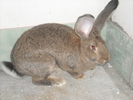 DSCN0969