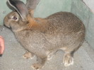 DSCN0972