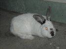 DSCN0973