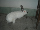 DSCN0974